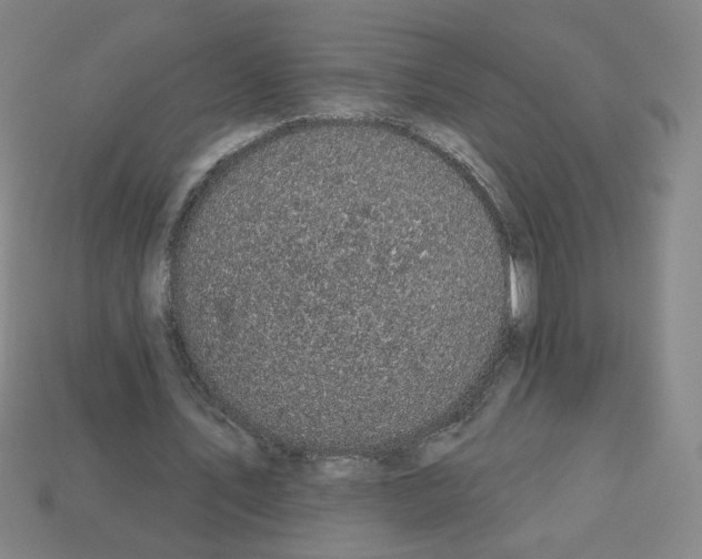 X0000113050579200910081233