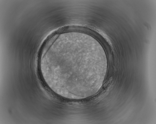 X0000113050580200910081233