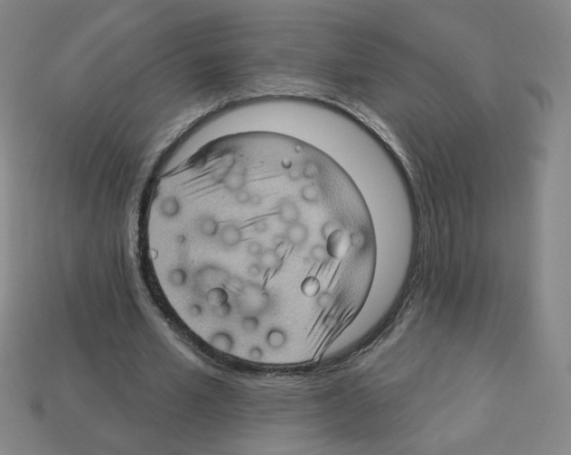 X0000113050581200910081233