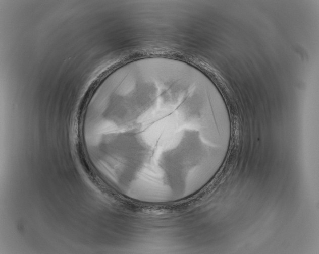 X0000113050582200910081233
