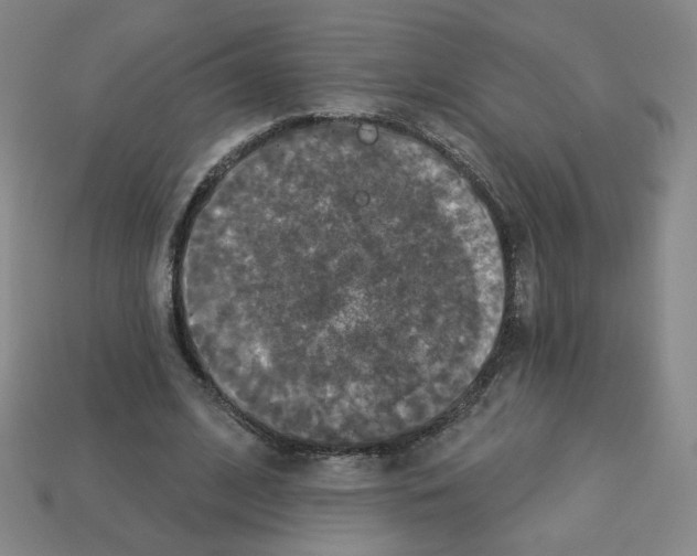 X0000113050584200910081233