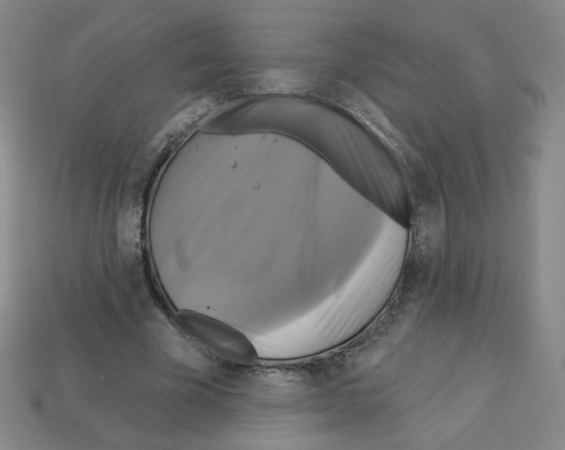 X0000113050585200910081233