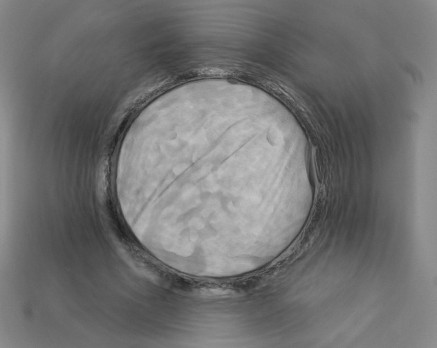 X0000113050586200910081233