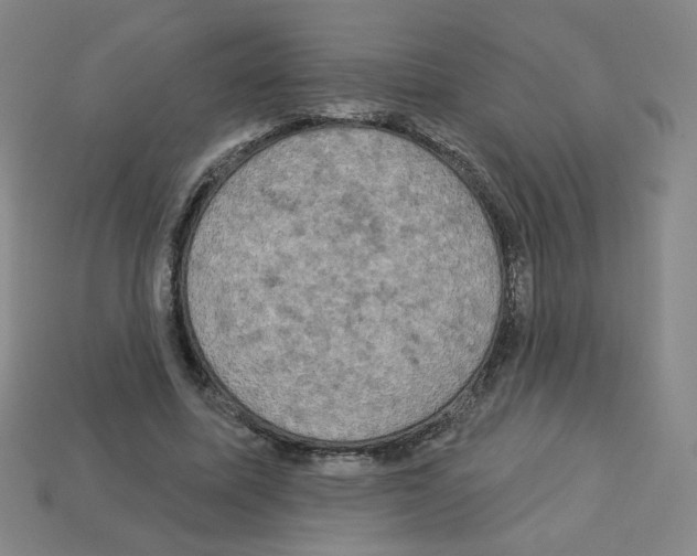 X0000113050587200910081233