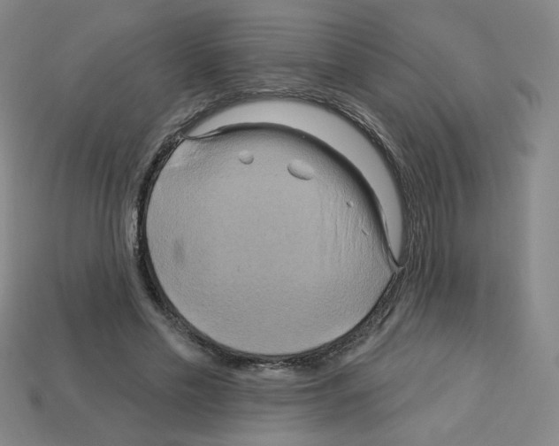 X0000113050589200910081233