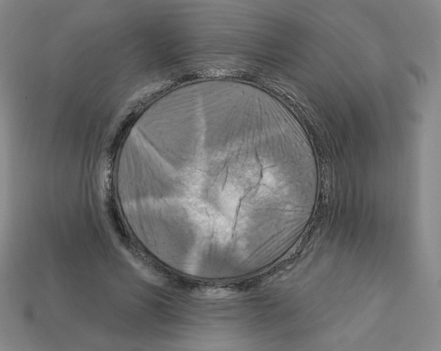 X0000113050590200910081233