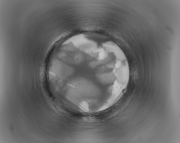 X0000113050591200910081233