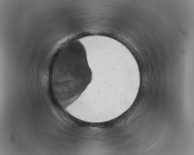 X0000113050592200910081233