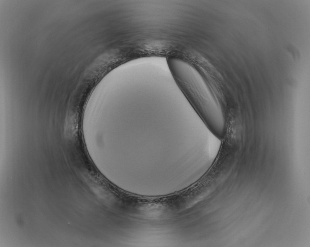 X0000113050593200910081233