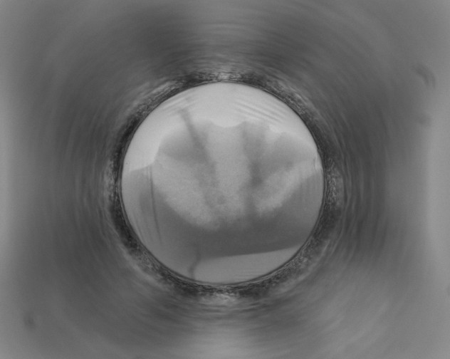 X0000113050594200910081233