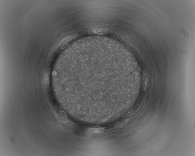 X0000113050595200910081233