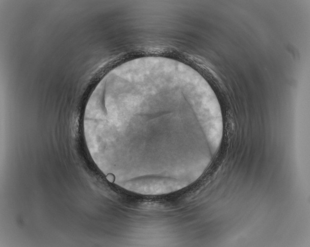 X0000113050596200910081233