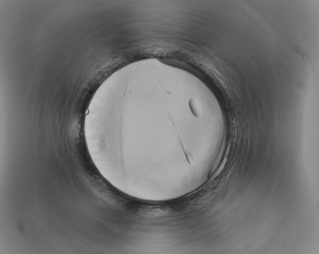 X0000113050597200910081233