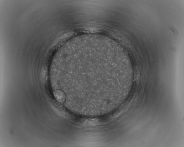 X0000113050599200910081233