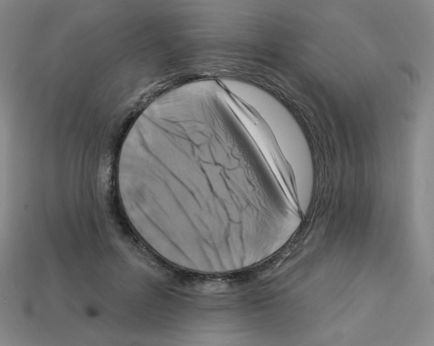 X0000113050600200910081233