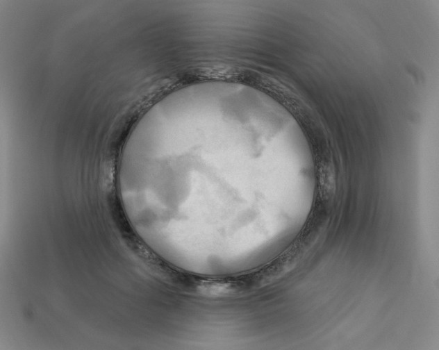X0000113050602200910081233