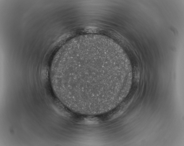 X0000113050603200910081233