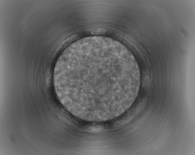 X0000113050604200910081233