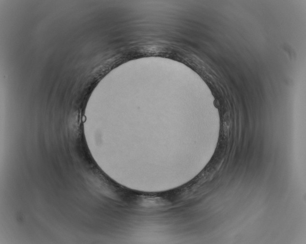 X0000113050605200910081233
