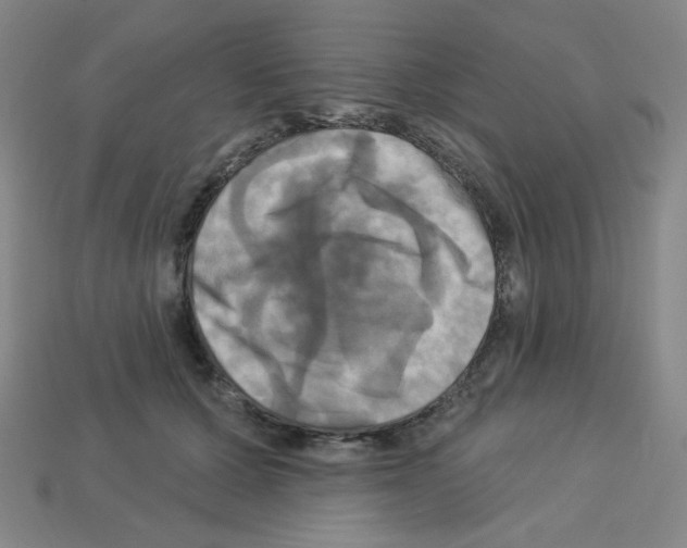 X0000113050607200910081233