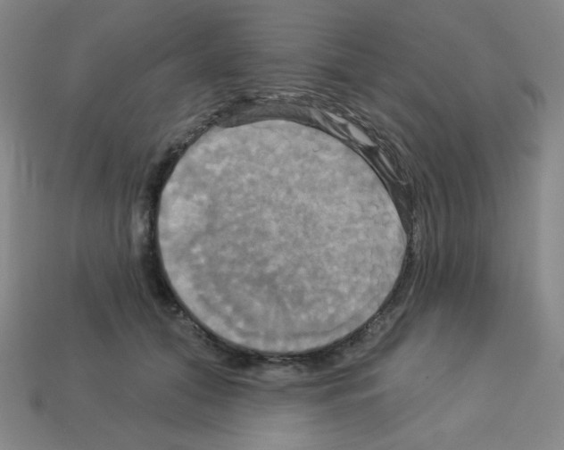 X0000113050608200910081233