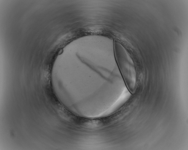 X0000113050609200910081233