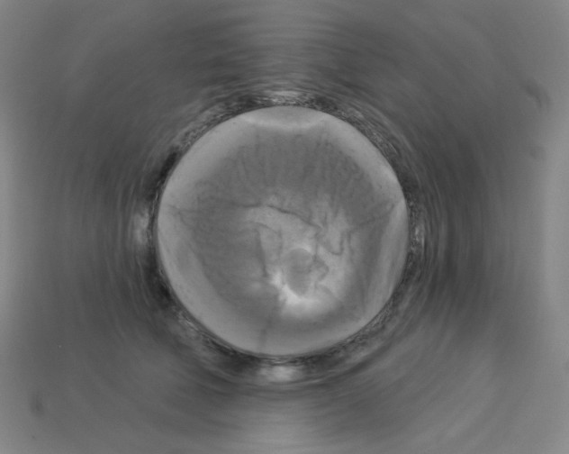 X0000113050610200910081233
