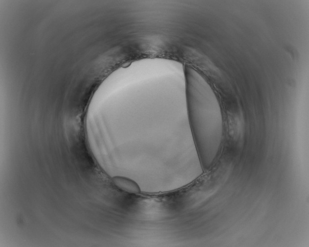 X0000113050611200910081233