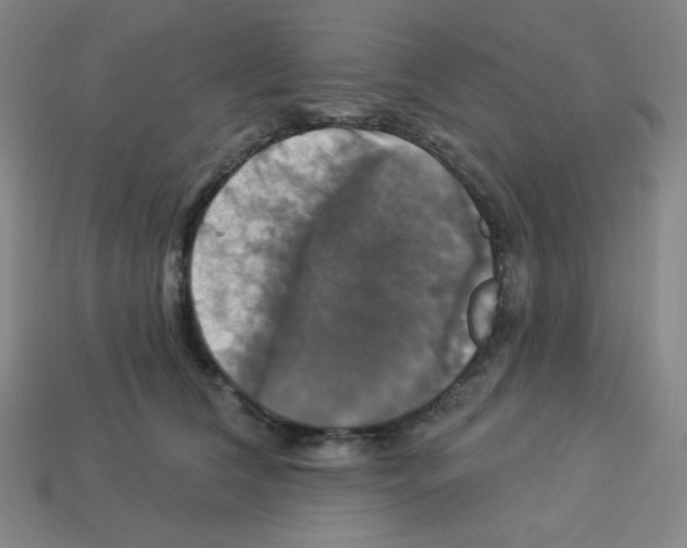 X0000113050612200910081233