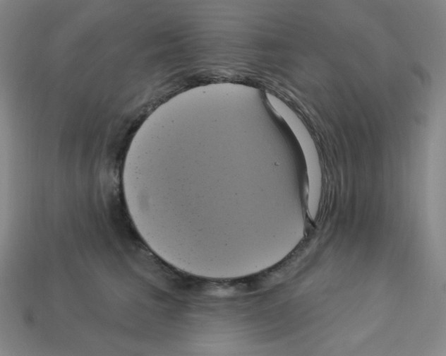 X0000113050613200910081233