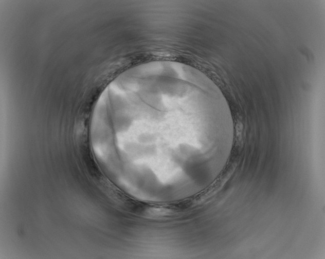 X0000113050614200910081233