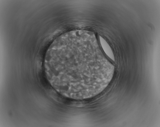 X0000113050615200910081233