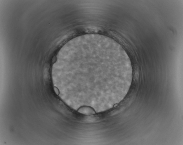 X0000113050616200910081233