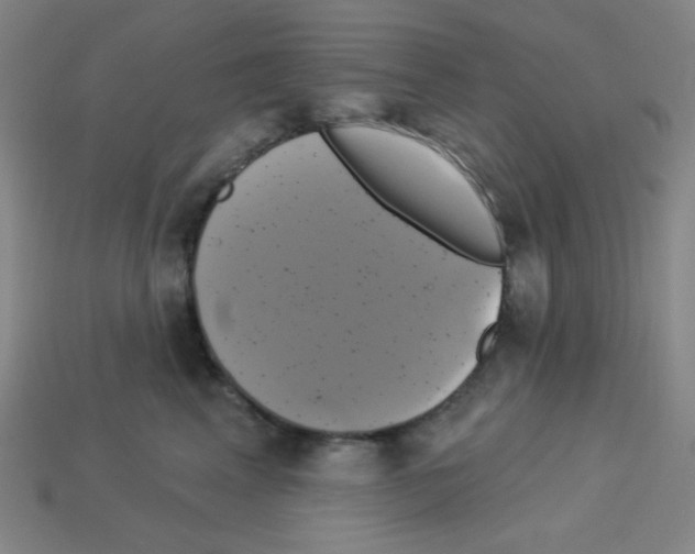 X0000113050617200910081233