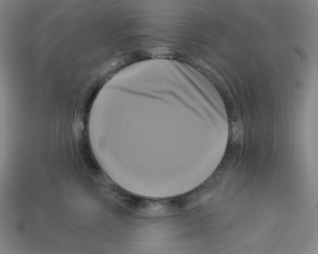 X0000113050618200910081233