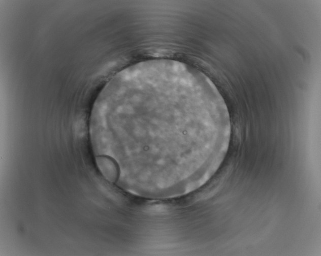 X0000113050620200910081233
