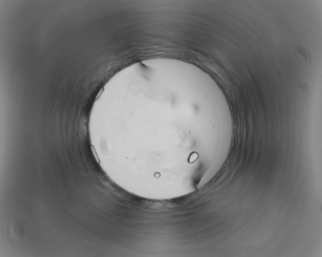 X0000113050621200910081233