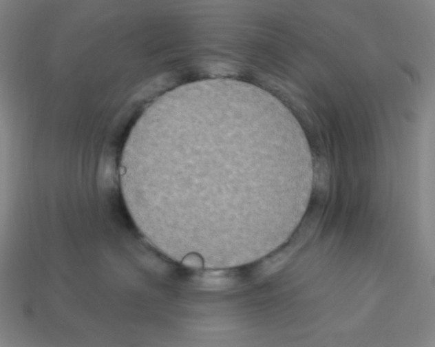 X0000113050622200910081233
