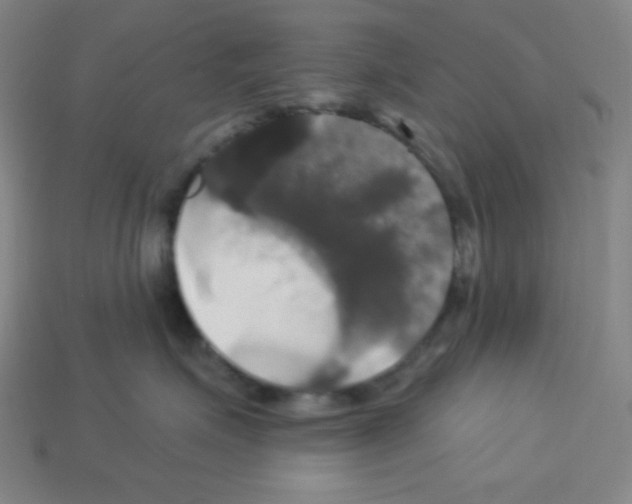 X0000113050623200910081233