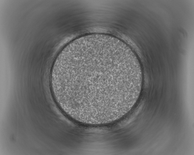 X0000113050625200910081232