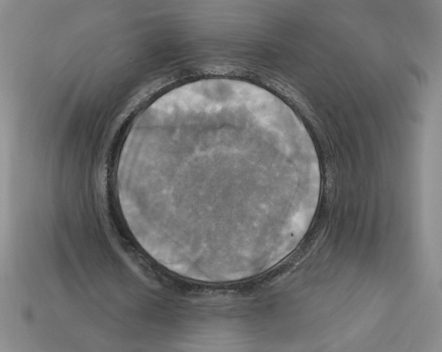 X0000113050626200910081232