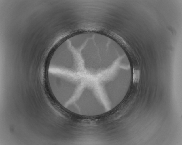 X0000113050627200910081232