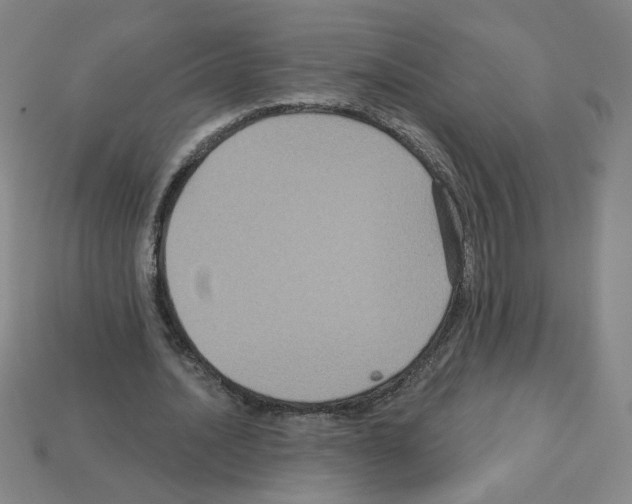 X0000113050628200910081232