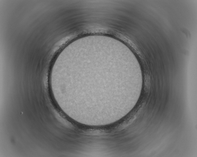 X0000113050629200910081232