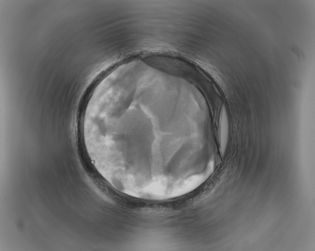 X0000113050630200910081232