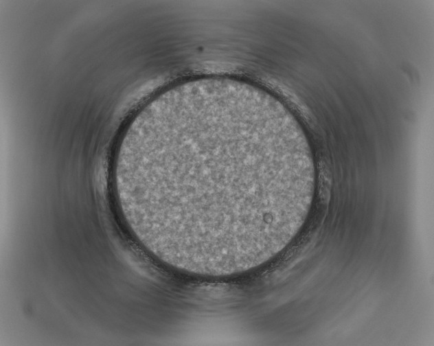 X0000113050631200910081232