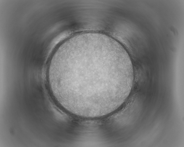 X0000113050632200910081232