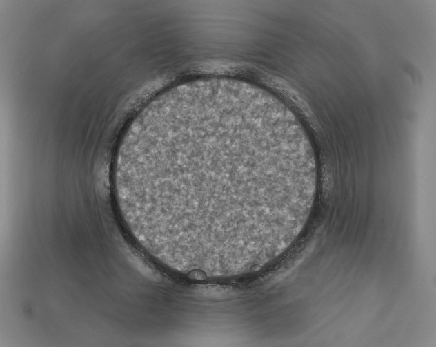 X0000113050633200910081232