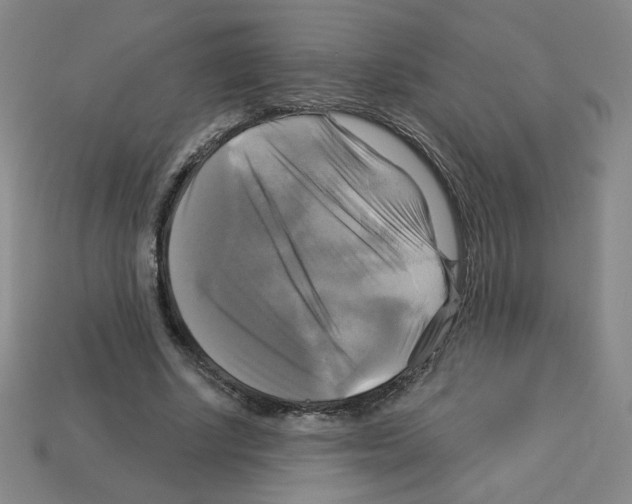 X0000113050634200910081232
