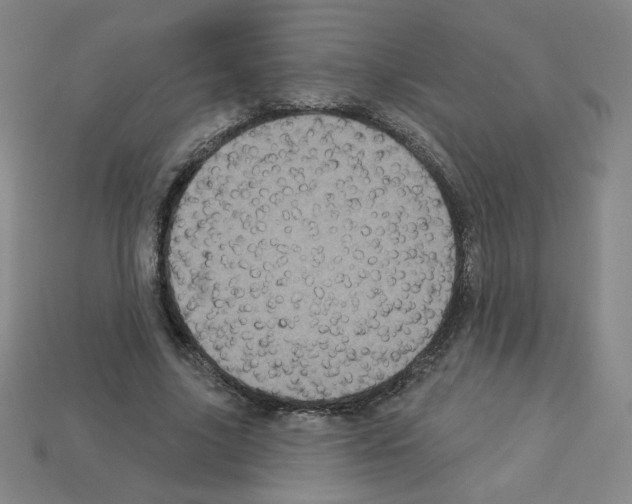 X0000113050635200910081232